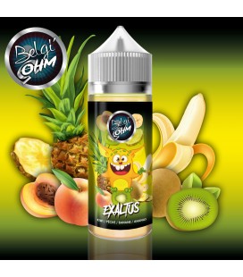 Exaltus  - Belgi'Ohm